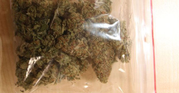 Dwie kobiety odpowiedzą za narkotyki