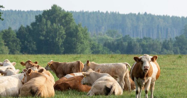 Ponad 100 interwencji strażaków po burzach
