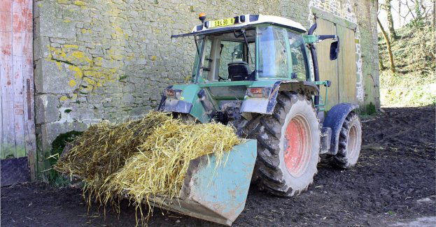 Przegniła słoma wysypana przed biurem poselskim PiS w Janowie Lubelskim