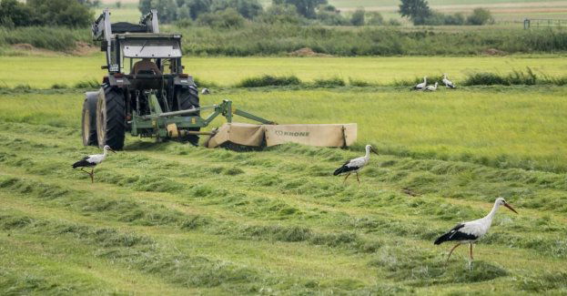 Państwa UE zatwierdziły nowe przepisy o ochronie zasobów przyrody