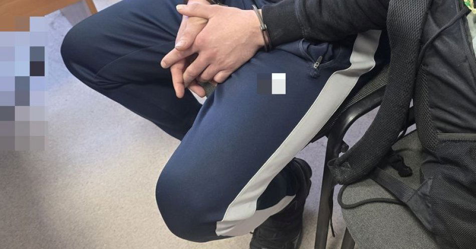 zdjęcie: Agresywni sprawcy pobicia zatrzymani przez policję / fot. KPP w Dzierżonowie