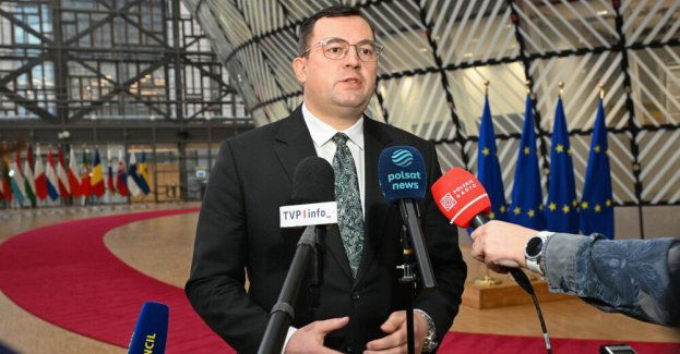 Minister rolnictwa: już w grudniu zapadła decyzja o audycie w schroniskach dla zwierząt