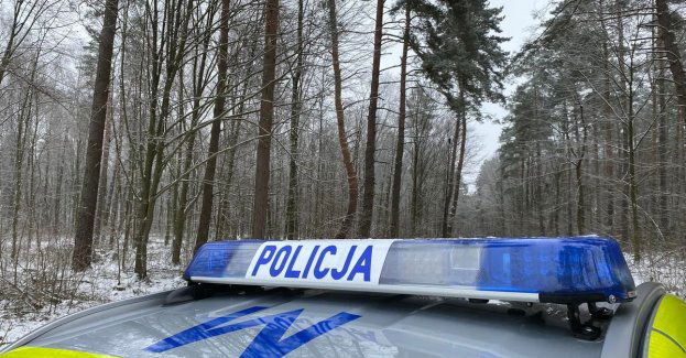 Kierował pomimo czterech zakazów