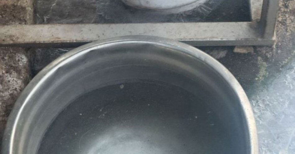 zdjęcie: Zaniedbany pies uratowany w Sułowie po interwencji policji / fot. KPP w Miliczu