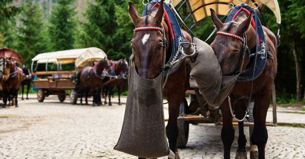 Radni przeciw zamianie postoju dla powozów konnych na postój dla meleksów