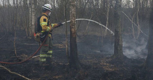 Dogaszanie pożaru w Biebrzańskim PN może potrwać wiele dni