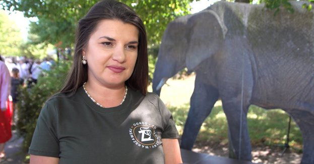 Populacja słoni afrykańskich kurczy się z roku na rok. Ich przyszłość zależy od ochrony w naturze i działań ogrodów zoologicznych