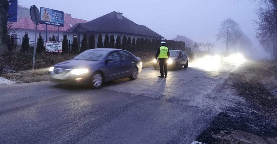 zdjęcie: Trzeźwy Poranek w powiecie aleksandrowskim: 1500 kontroli / fot. KPP Aleksandrów