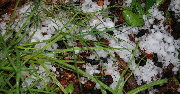 Ostrzeżenie meteorologiczne
