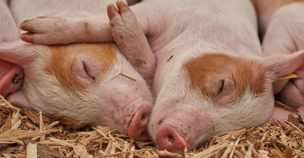 ARiMR: 300 tys. zł na odtworzenie potencjału produkcji rolnej