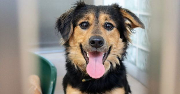 W Katowicach startuje 10. edycja budżetu obywatelskiego