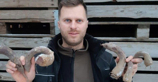 Na pomoc „słynnym” burakom! Too Good To Go ratuje „niestandardowe” warzywa od lokalnego rolnika