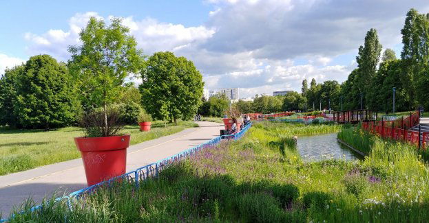 Wola ogranicza koszenie traw