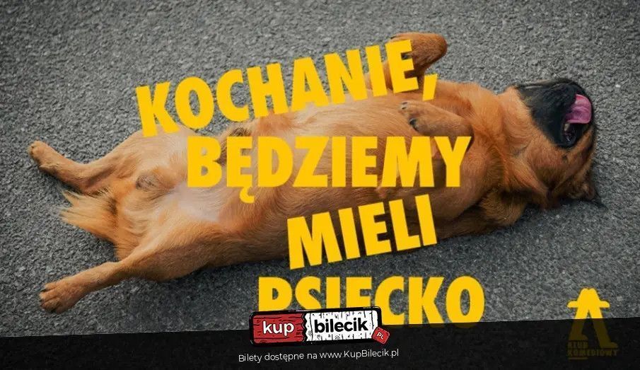 zdjęcie: Kochanie, będziemy mieli psiecko - spektakl impro / kupbilecik24.pl / Kochanie, będziemy mieli psiecko - spektakl impro