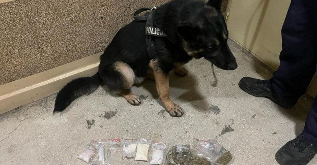 Piwnica była „bogata” w odurzające środki