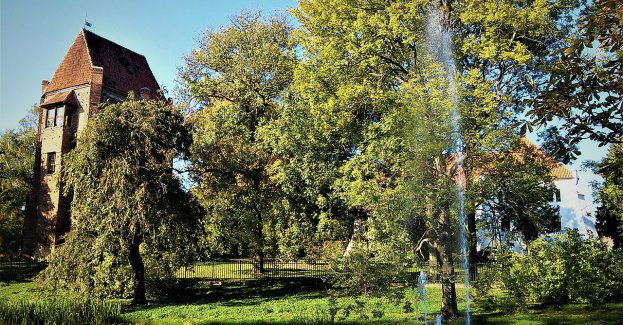 Szamotuły: miasto na szlaku Samy