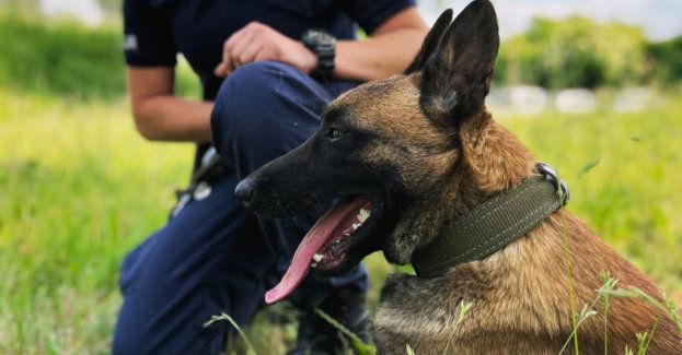 Na zapleczu sklepu ukrył narkotyki. Teraz odpowie przed sądem