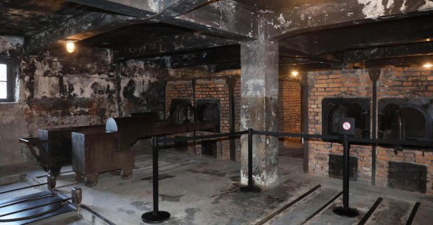 1 mln osób zwiedziło już w tym roku Muzeum Auschwitz