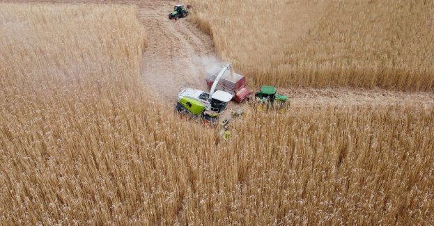 150 tys. zł premii dla młodego rolnika. Wnioski od 3 czerwca.