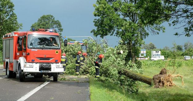 W czwartek 341 interwencji związanych z pogodą