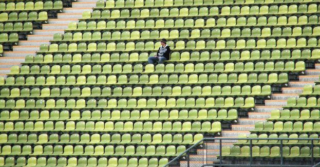 Kuriozalny zakaz na holenderskich stadionach