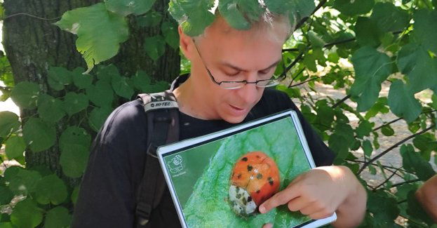 Zielona Łódź zaprasza na spacer