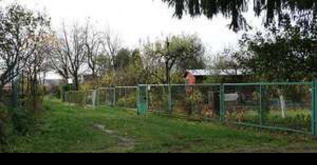 Po zakończeniu sezonu w ogródkach działkowych, zabezpiecz je przed wizytą nieproszonych gości