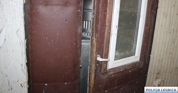 Areszt dla kolejnego złodzieja z Legnicy