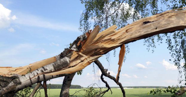 Blisko 200 wyjazdów strażaków w związku z silnym wiatrem; odwołane imprezy plenerowe