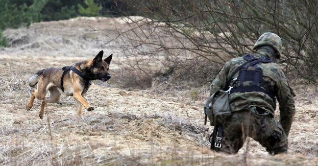 Trzecia grupa psów saperów jedzie na Ukrainę