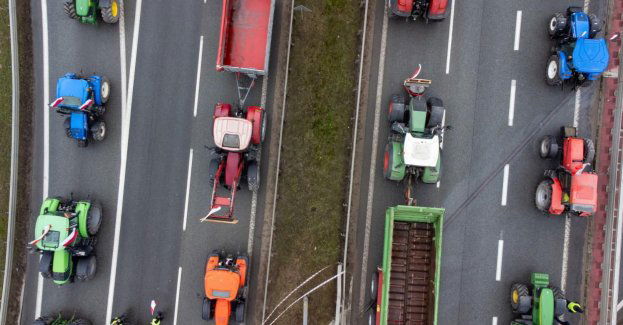 Rolnicy w Polsce domagają się realizacji swoich postulatów, protesty także w innych krajach