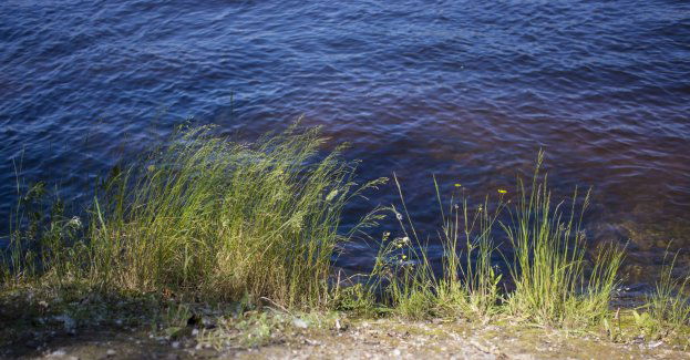 Rozpoczyna się oczyszczanie jeziora Długiego w Olsztynie