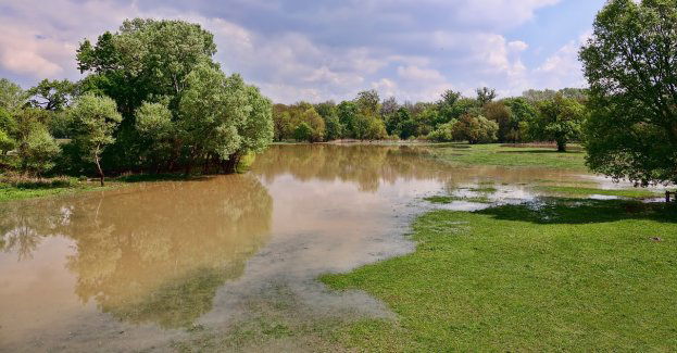 Ostrzeżenie przed przekroczeniem stanu ostrzegawczego na Widawie