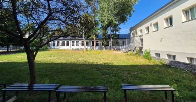 Zielone patio w centrum Wieniawy