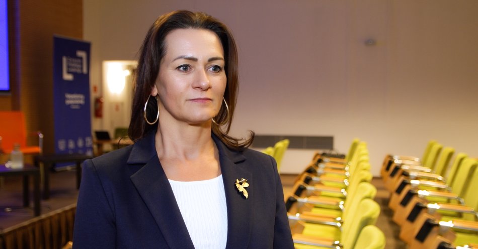 zdjęcie: Środki unijne napędzą w tym roku inwestycje prywatne. Branża leasingowa skorzysta na większych zakupach firm / fot. Newseria - Monika Constant, prezeska Związku Polskiego Leasingu