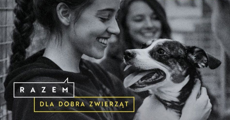 zdjęcie: Nowa inicjatywa dla miłośników zwierząt i pomagania Już 21 maja Forum Karmimy Psiaki w Krakowie