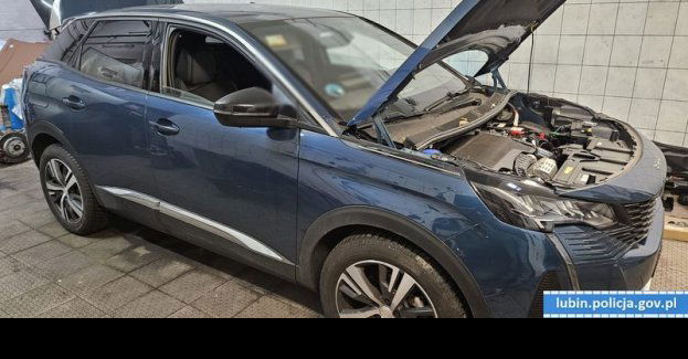 Lubin: wielka akcja policji przeciwko narkotykom i paserstwu