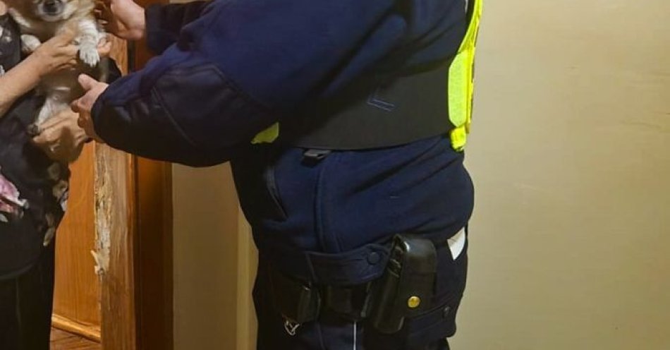zdjęcie: Perełka bezpiecznie wróciła do domu dzięki policjantom / fot. KPP Hajnówka