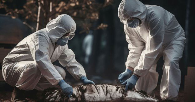 Przeprowadzono sekcję zwłok kobiety znalezionej na Bałutach w Łodzi