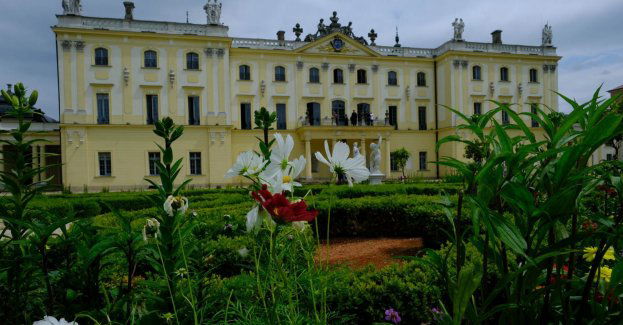 Białystok w kwiatach
