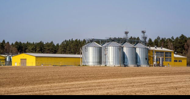 Wiek i choroba psychiczna nie wykluczają świadomych decyzji prawnych