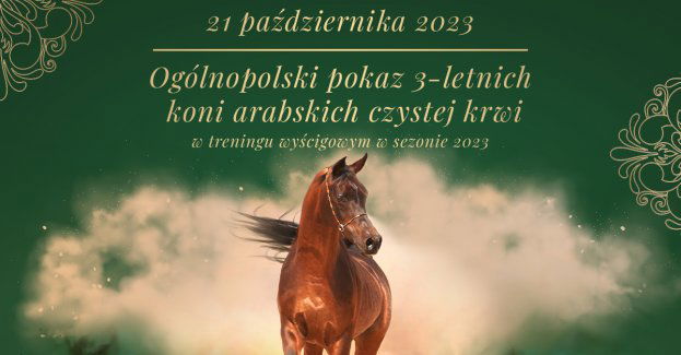 Ogólnopolski pokaz 3-letnich koni arabskich czystej krwi 2023