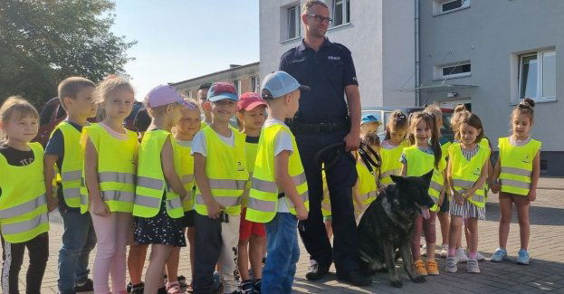 Motylki u policjantów