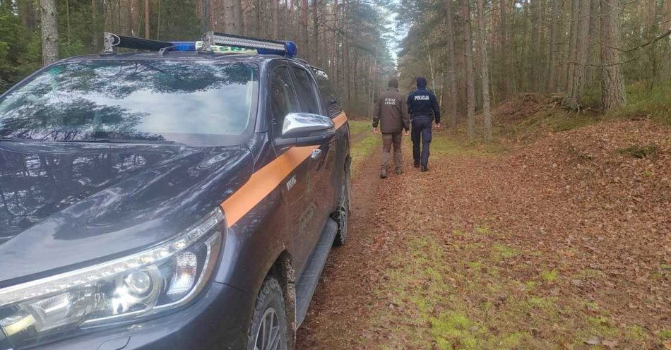 zdjęcie: Kupujesz choinkę? Policja i Straż Leśna sprawdzają legalność / fot. KPP w Opocznie