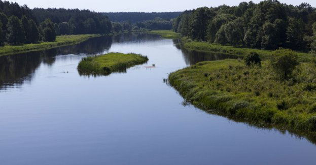 Minionej doby 80 prób nielegalnego przekroczenia granicy z Białorusią