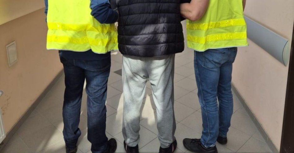 zdjęcie: Poznań: złodzieje aut w rękach policji odzyskano 5 samochodów / fot. KMP w Poznaniu