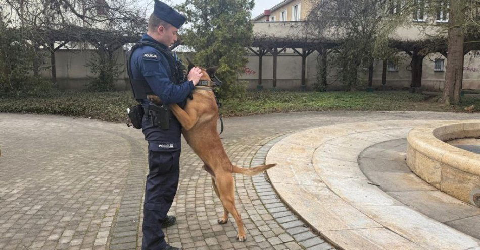 zdjęcie: Czworonożni strażnicy Ostrowca: psi nos nie do zastąpienia / fot. KPP Ostrowiec Świętokrzyski policjant z psem służbowym