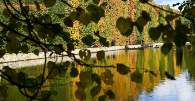 Synoptyk IMGW: pogodne dni z silniejszymi porywami wiatru w górach i nad morzem