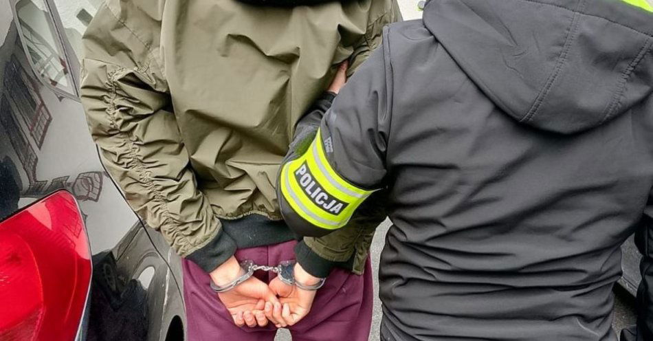 zdjęcie: Bierutów: policja odzyskała skradziony rower i zatrzymała sprawcę / fot. KPP w Oleśnicy