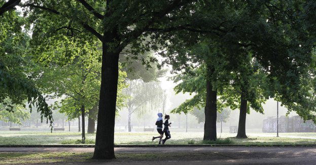 Finał akcji Aktywne Puławy w najbliższą niedzielę